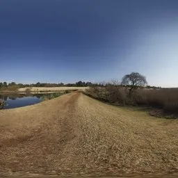 Winter Sky