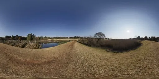 Winter Sky