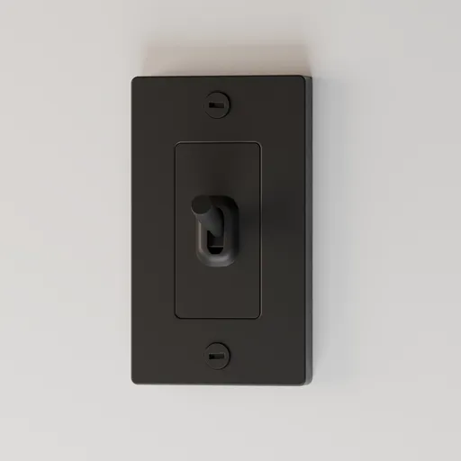 Toggle Switch