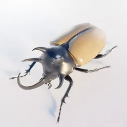 "3D model of Eupatorus gracilicornis beetle for concept art in Blender 3D. This insect model features intricate details, rendered with ambient occlusion. Ideal for museum catalog photography and game design purposes, resembling characters from Kazuma Kaneko's artwork or official product images like those seen in Fortnite."