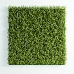 "Fitowall artificial wall panel in Rosemary design, created in Blender 3D with the Bagapie addon. Proxy used for improved viewport performance. Easily adjustable in EDIT MODE for custom shapes and dimensions."
