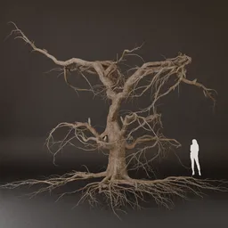 SJ-Environment Tree Dry Realistic