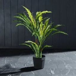 "Artificial Fern Plant for Blender 3D: Highly Detailed 70cm Nature Indoor Model. Perfect for adding greenery to your 3D designs with a black and yellow color scheme and vertical slatted timber pot design. Easily modified to fit your specific scene."