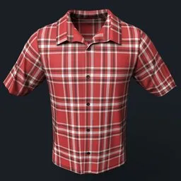 Red and White Plaid Button-Up Shirt