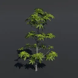 "A beautifully detailed avocado tree modeled in Blender 3D with PBR textures and materials. This high-quality video game asset features realistic shading and clean cel-shaded lines, perfect for Unreal Engine 5. The tree grows up towards the sky and comes with tileable textures and lianas to complete the scene."