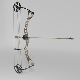 Compound bow with an arrow