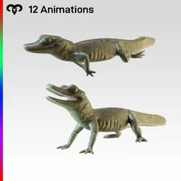 Baby crocodile Animated Rigged