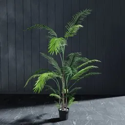 "Artificial palm tree with lianas in pot for Blender 3D modeling. Perfect for creating naturalistic indoor scenes with 4K Unreal Engine renders. Standing at 170cm, this product image features vertical orientation, palm trees and columns with slightly hard shadows."