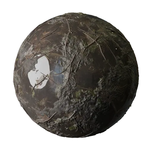 Wet forest ground