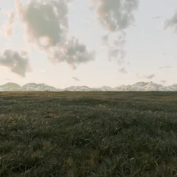 Windy Grass Field - Animated