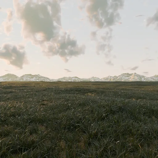 Windy Grass Field - Animated