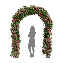 Climbing Roses Garden Bow Pink