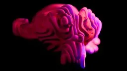 Abstract Neon Topographical Sculpture