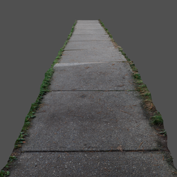 Pathway in Neighborhood Photoscan