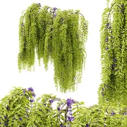 flower hanging wall plant