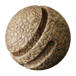 Turtle skin