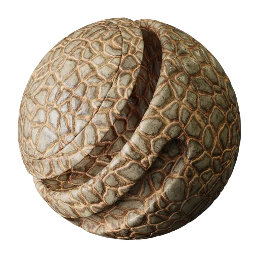 Turtle skin