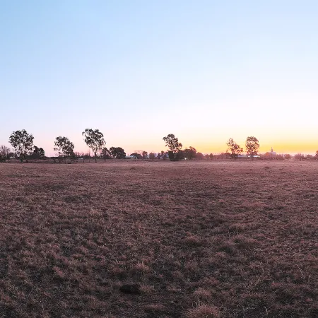 Rosendal Park Sunset