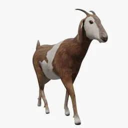 Goat Animated