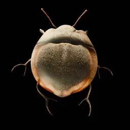 Realistic Bug