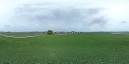 360-degree panoramic HDR image featuring expansive green farmland under a cloudy sky for realistic scene lighting.