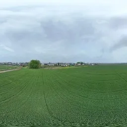 Farmland