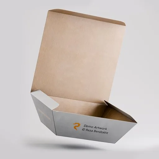 Rigged Large Folding Mailer Box