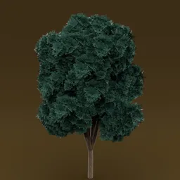 Teal leaved tree