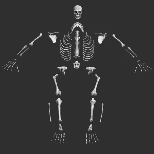 Human male mud skeleton bones
