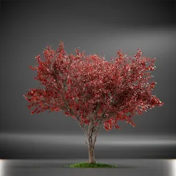 Tree Ruby Slippers Animated