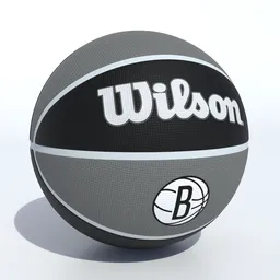 Wilson Brooklyn Nets Basketball