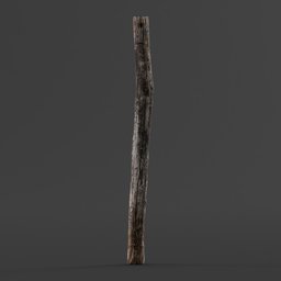 Wooden pole 01