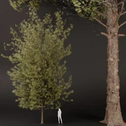 SJ-lowpoly pine forest set