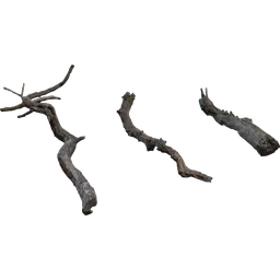 Dry Branches Medium 01