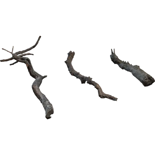 Dry Branches Medium 01