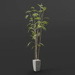 "Beautiful indoor nature 3D model of a bamboo plant in a concrete vase, perfect for decorating your scenes in Blender 3D. The model features intricate mesh and high-quality texturing shaders. This asset pack includes additional elements such as bamboo wood and marijuana trees."