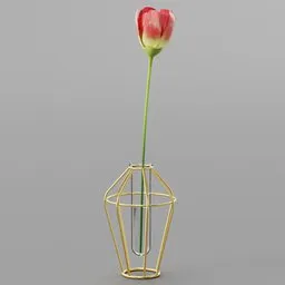 Highly detailed Blender 3D render of a red tulip in a geometric gold wire vase for interior design visualization.