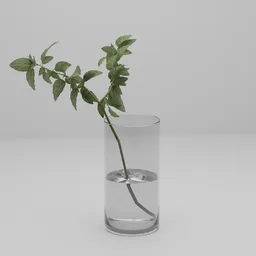 Green Fig Leaf Stem