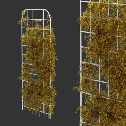 Grid Ivy Autumn Plant