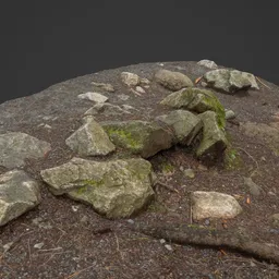 Rocky Ground in Forest Photoscan