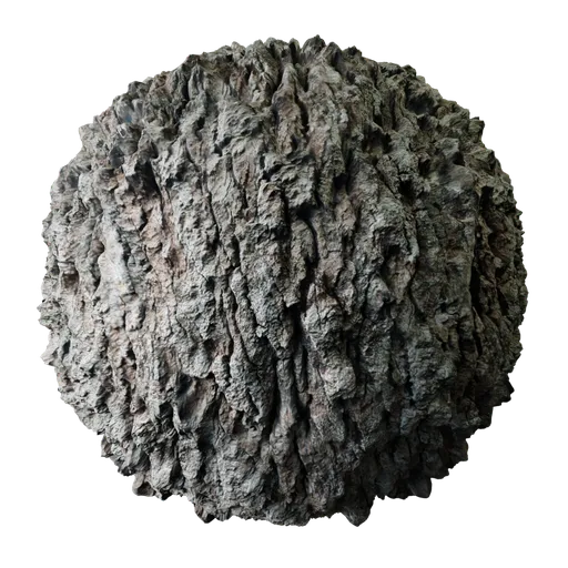 Bark