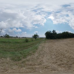 Dry Hay Field