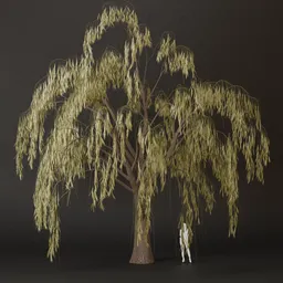 SJ-Silent Forest Dancer