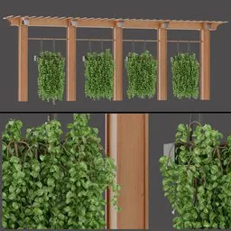 Garden Vine Column Row