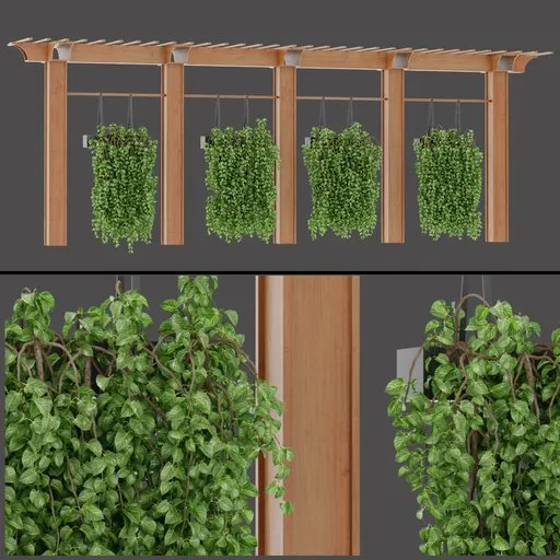 Garden Vine Column Row