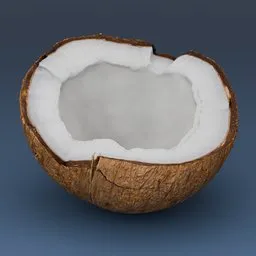 Coconut cut in half Tropical Food