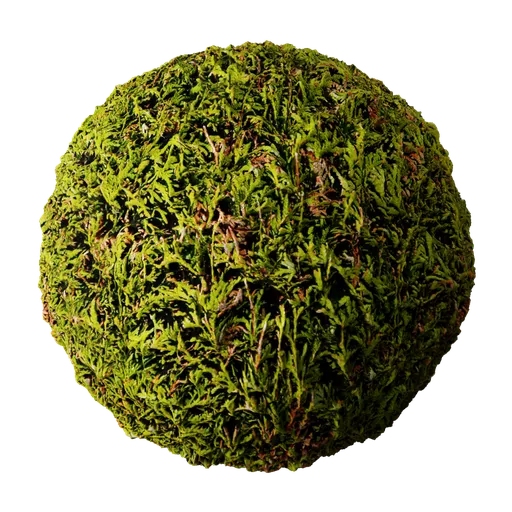 Hedge