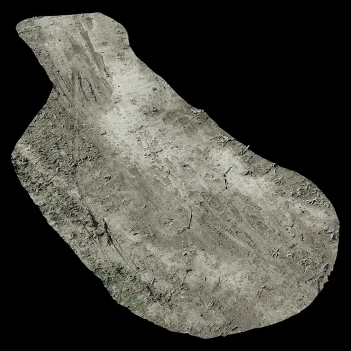 Scan Mud road