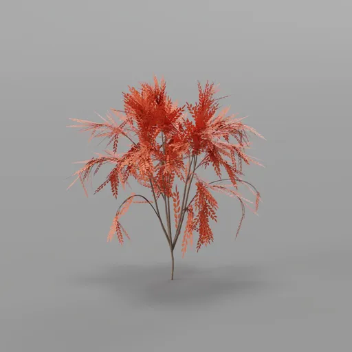 Bush