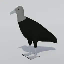 Low poly Black Vulture